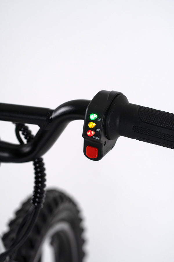 DUO 16″ Master – Kids Electric Balance Bike