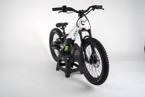 Duo Electric bikes
