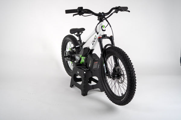 Duo Electric bikes
