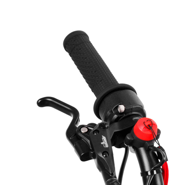 Amped A24 Comp