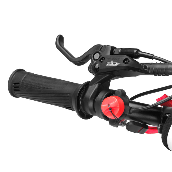 Amped A16 Pro Electric Balance Bike